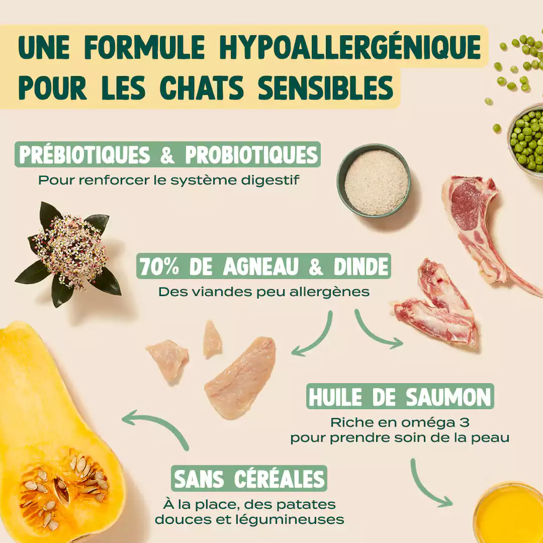 AGNEAU, DINDE, VALERIANE - Image 4