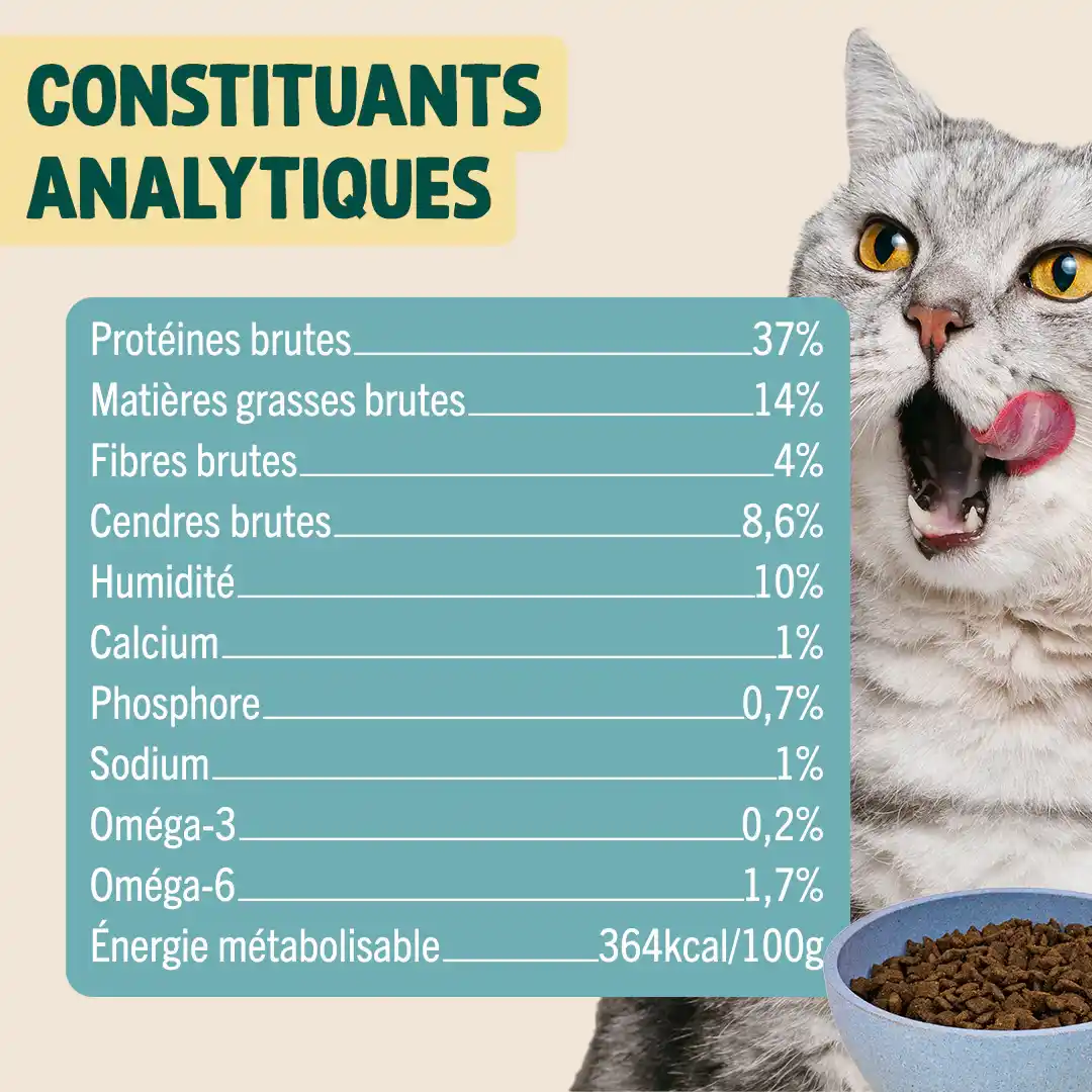 AGNEAU, DINDE, VALERIANE - Image 5