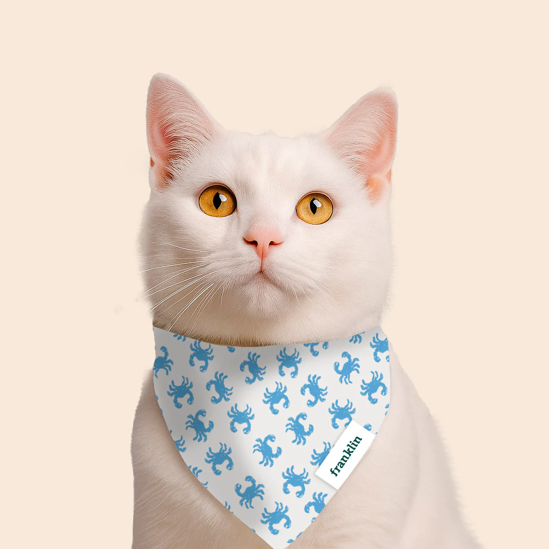 BANDANA 100% COTON CHAT - Image 4