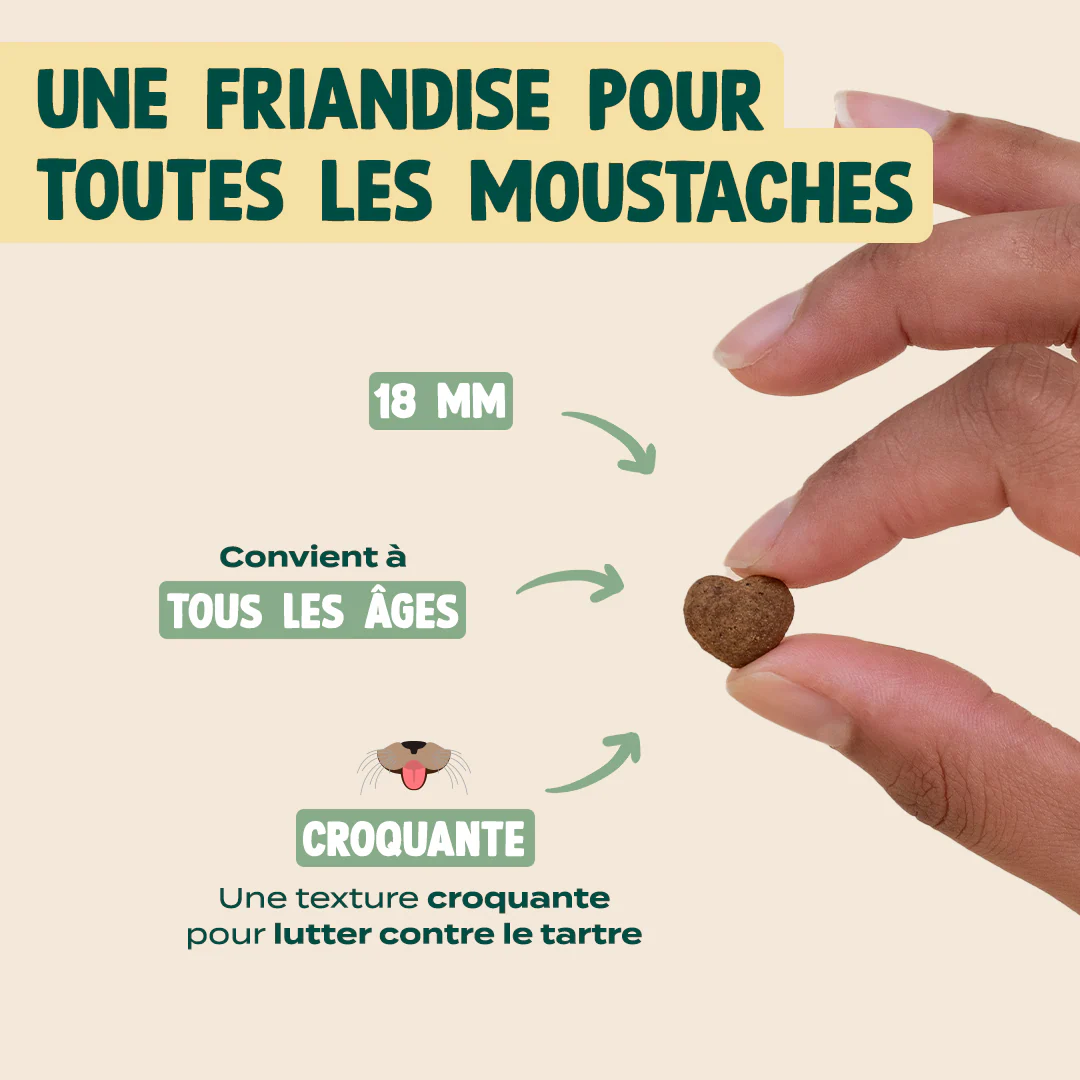 BISCROC' ANTI BOULES DE POILS - Image 4