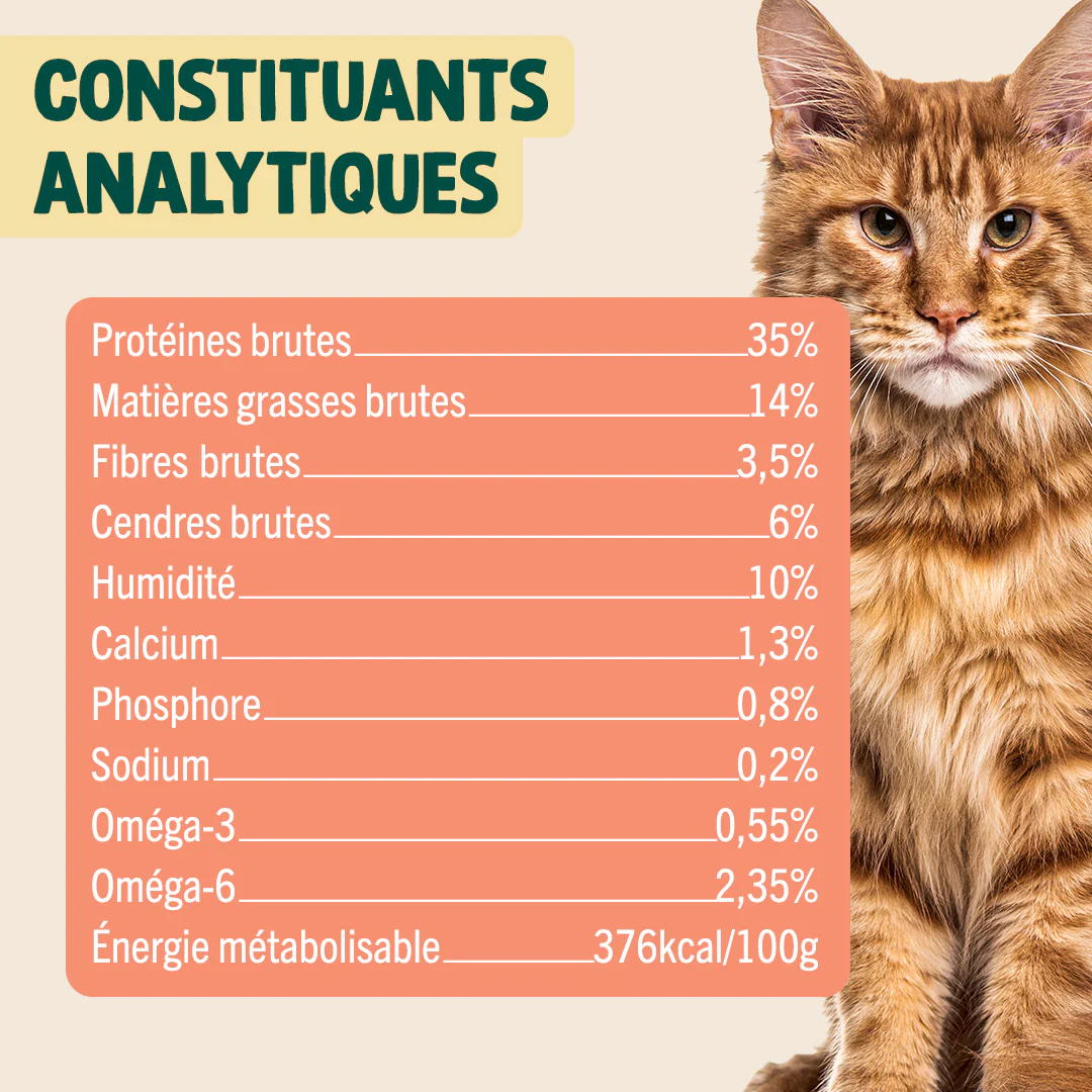 BISCROC' ANTI BOULES DE POILS - Image 5