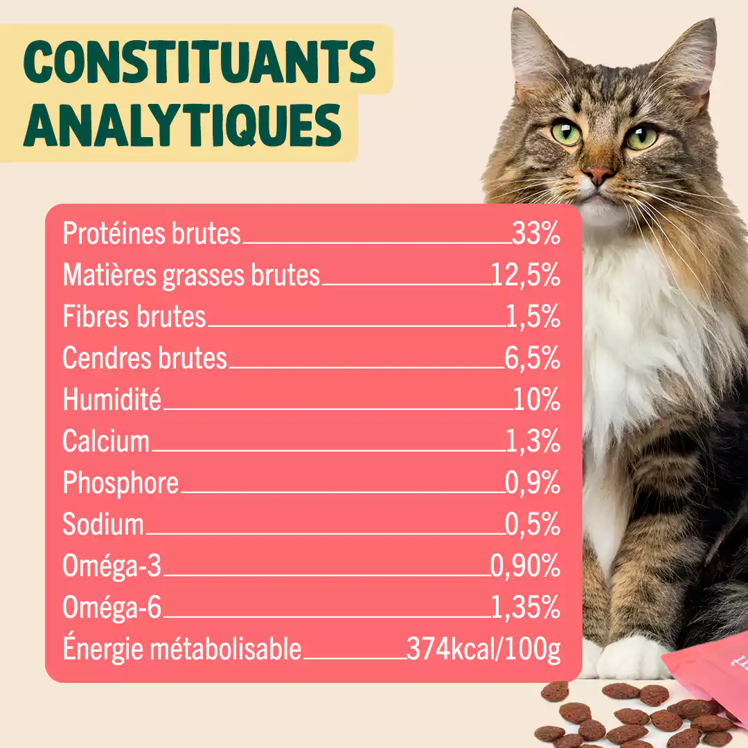 BISCROC' DENTAIRE - Image 5