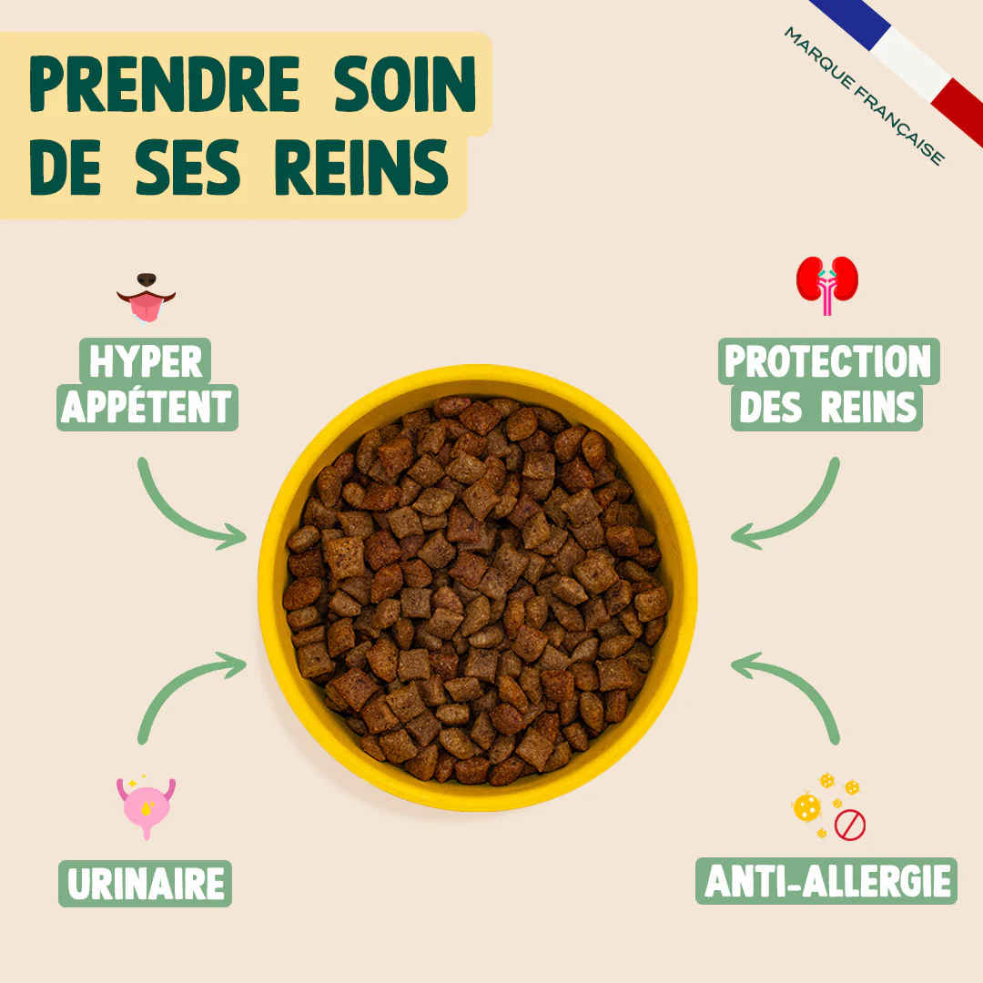 CANARD, COURGE, CAMOMILLE - Image 3