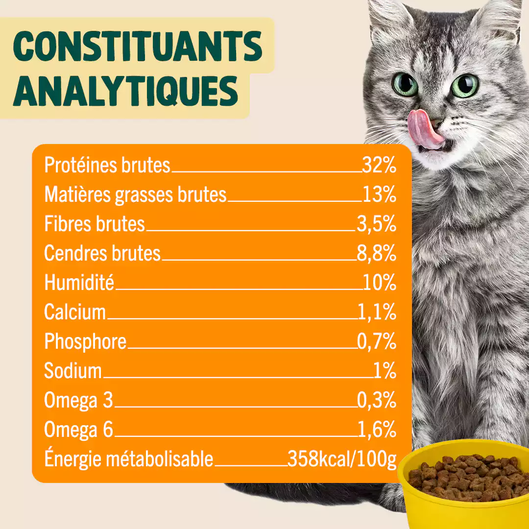 CANARD, COURGE, CAMOMILLE - Image 5