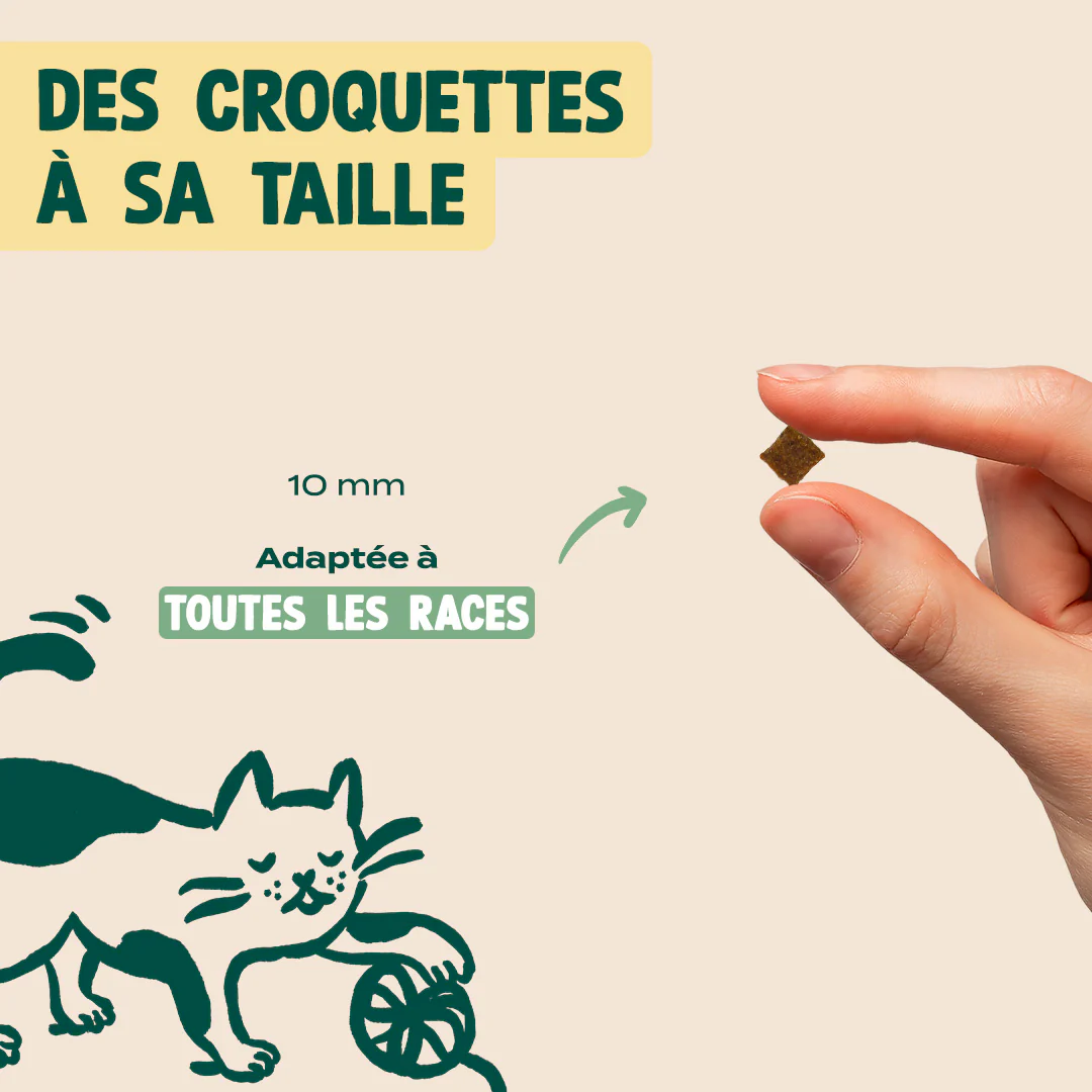 AGNEAU, DINDE, VALERIANE - Image 6