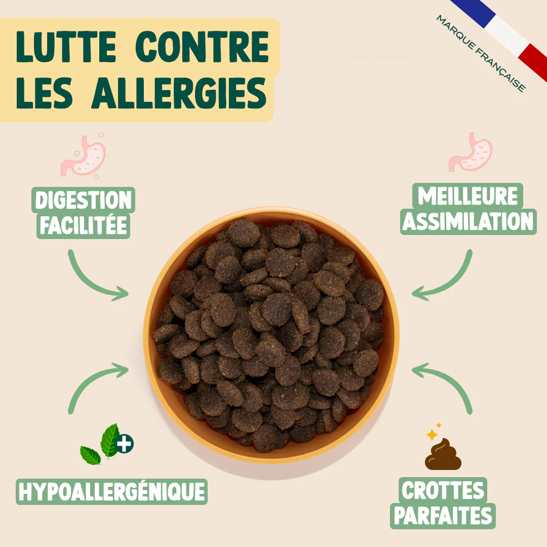 CANARD, POMME, CAROTTE - Image 3