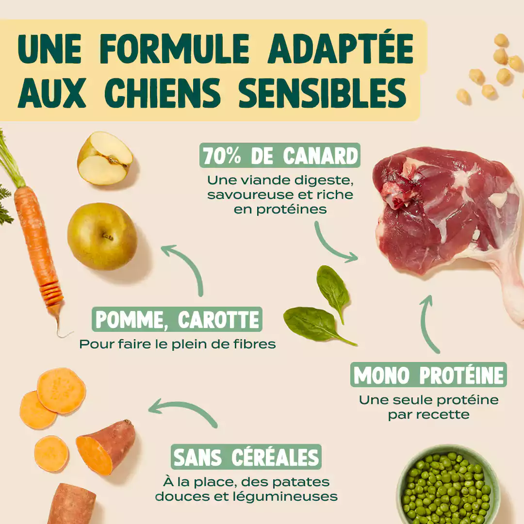 CANARD, POMME, CAROTTE - Image 4