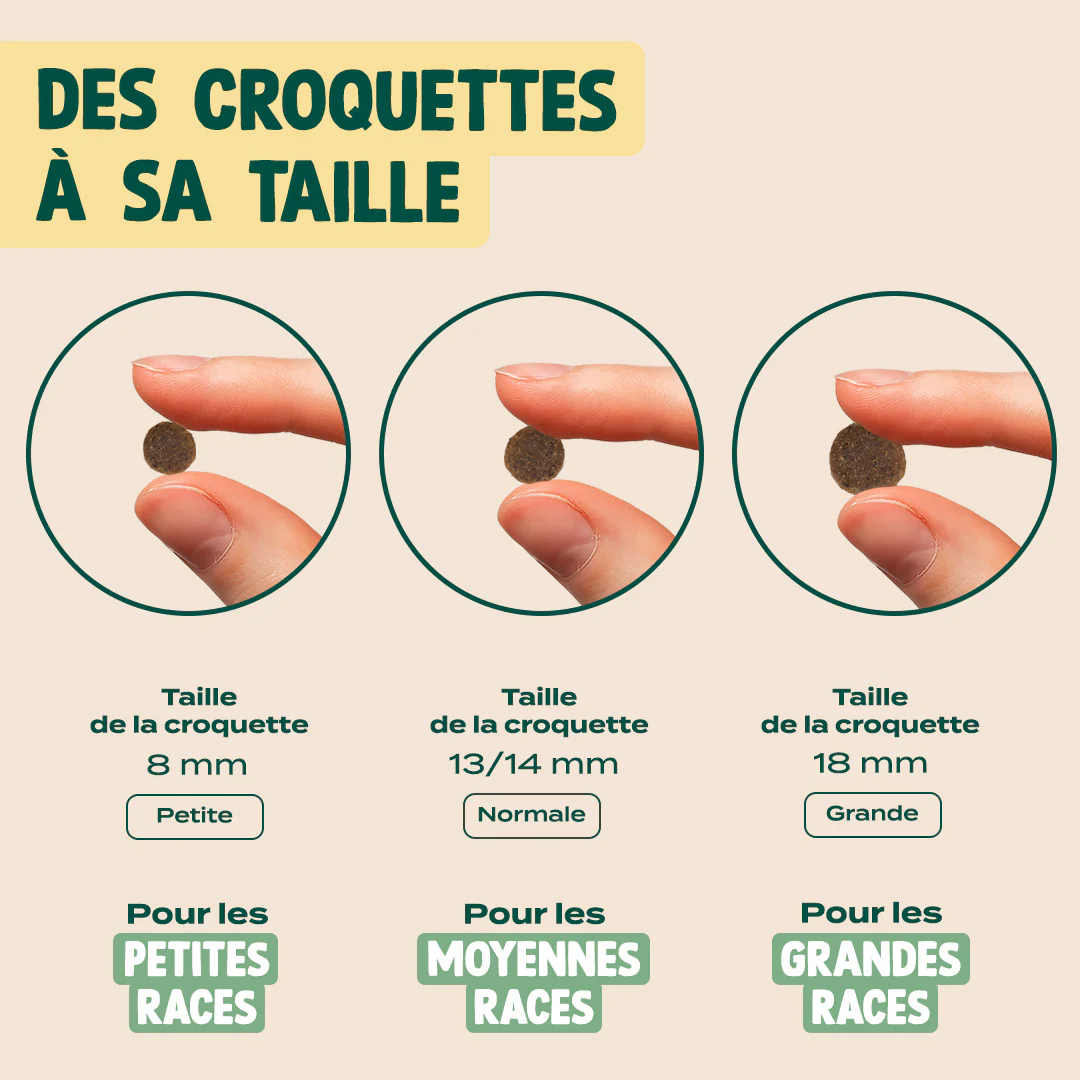 CANARD, POMME, CAROTTE - Image 6