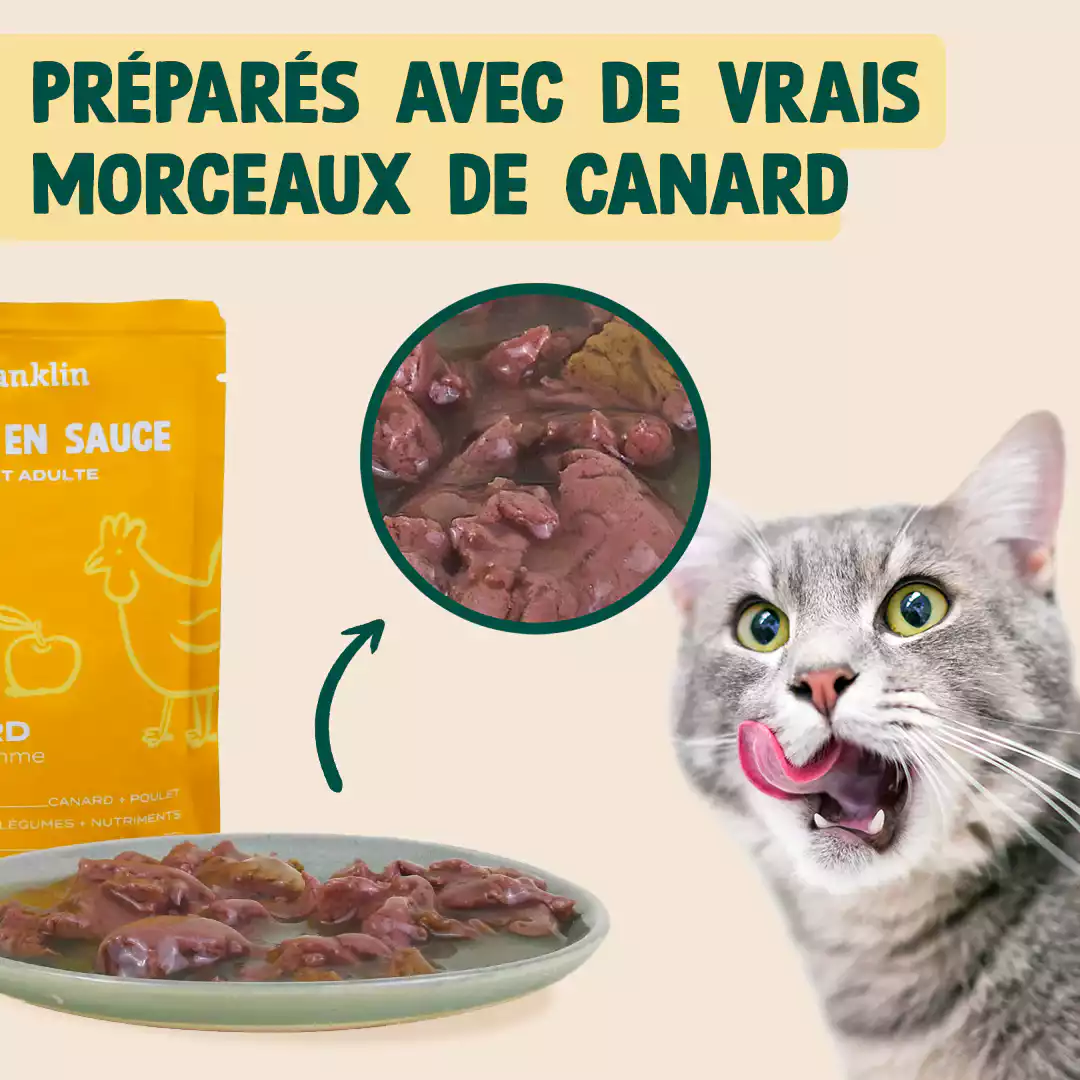 CANARD, POULET, POMME - Image 3