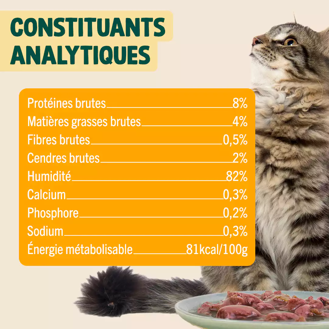 CANARD, POULET, POMME - Image 5