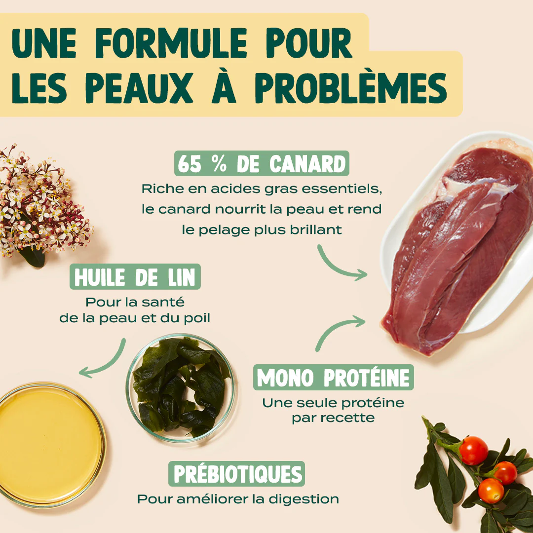 CANARD, VALÉRIANE - Image 3