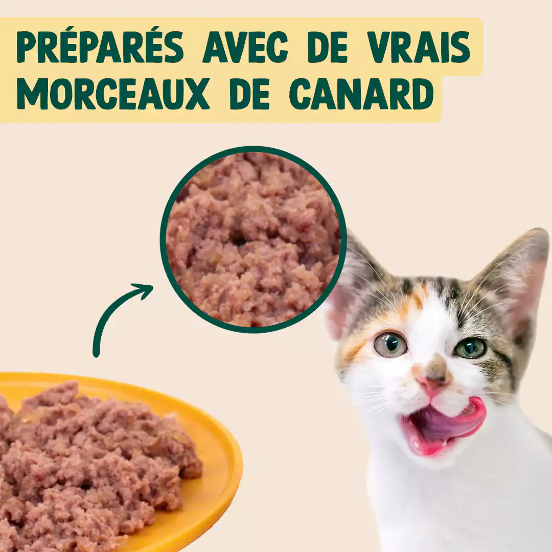 CANARD, VALÉRIANE - Image 5