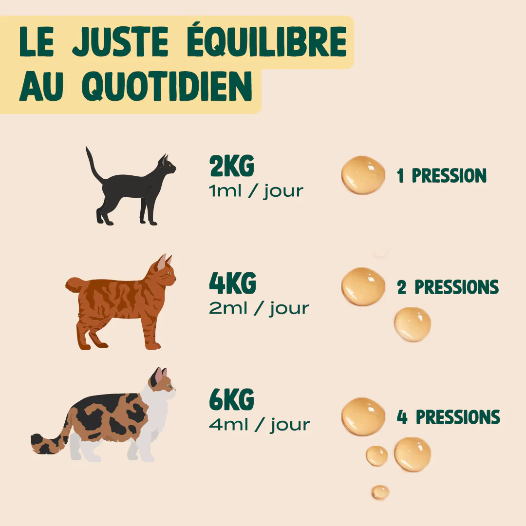 HUILE DE SAUMON - Image 5