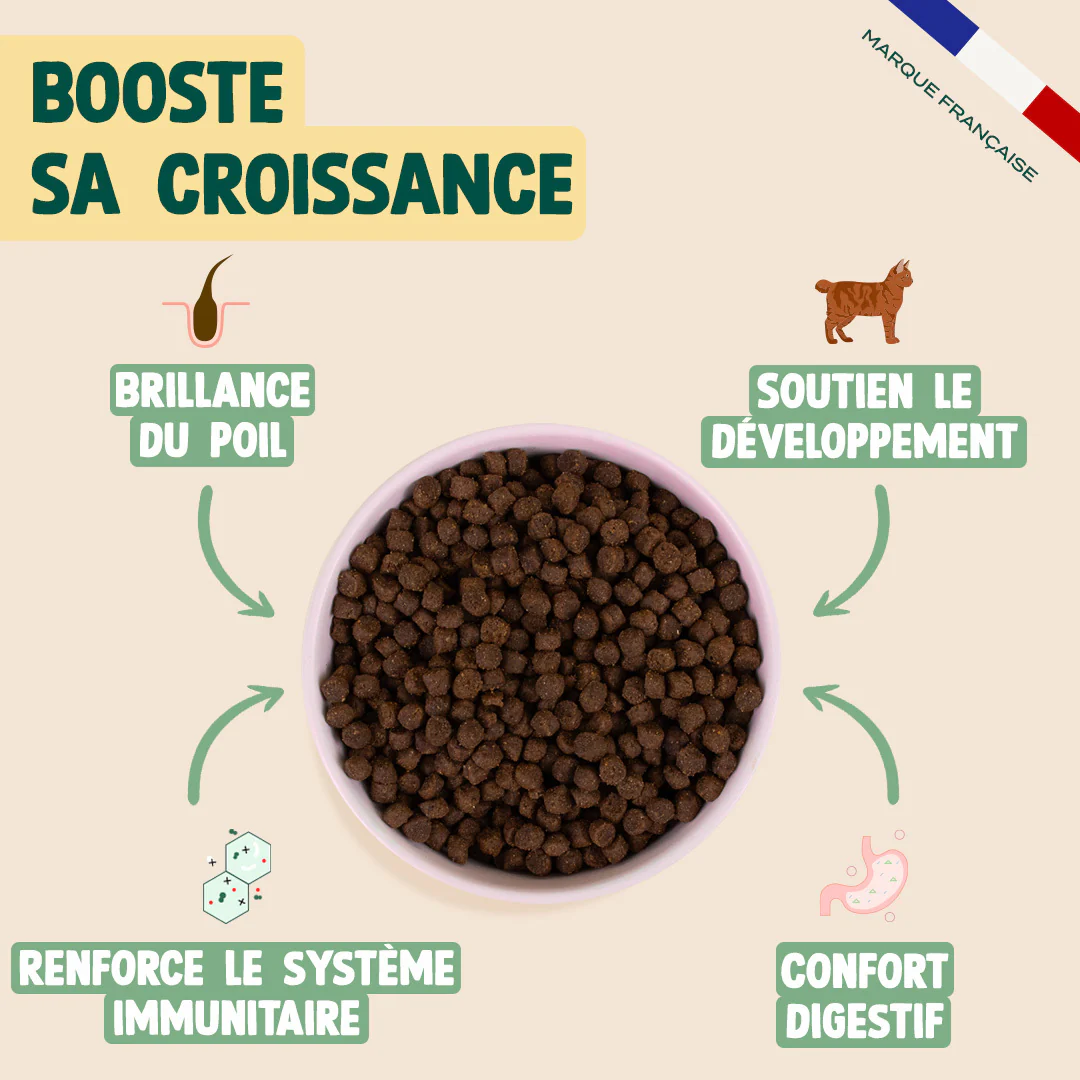 POULET, SAUMON, CAROTTE - Image 3