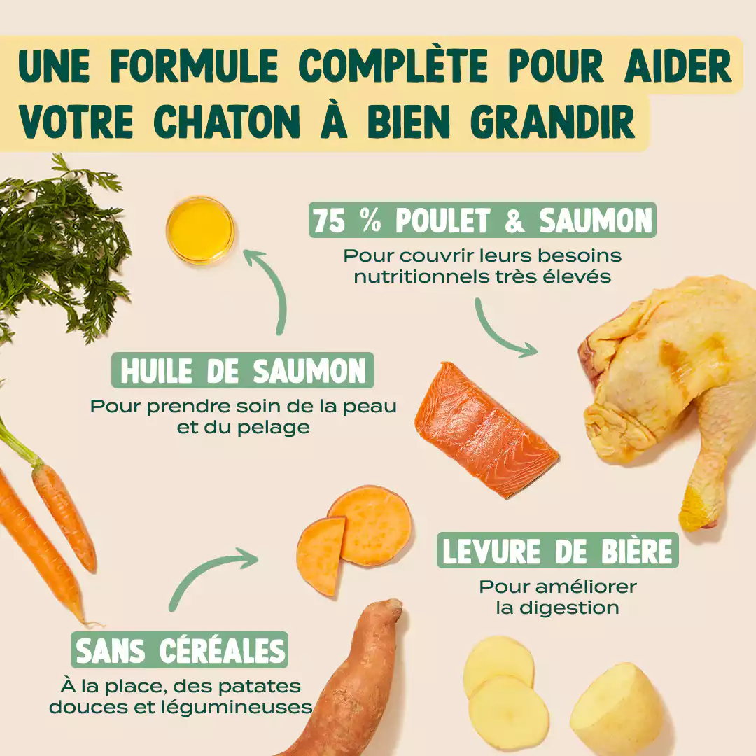 POULET, SAUMON, CAROTTE - Image 4