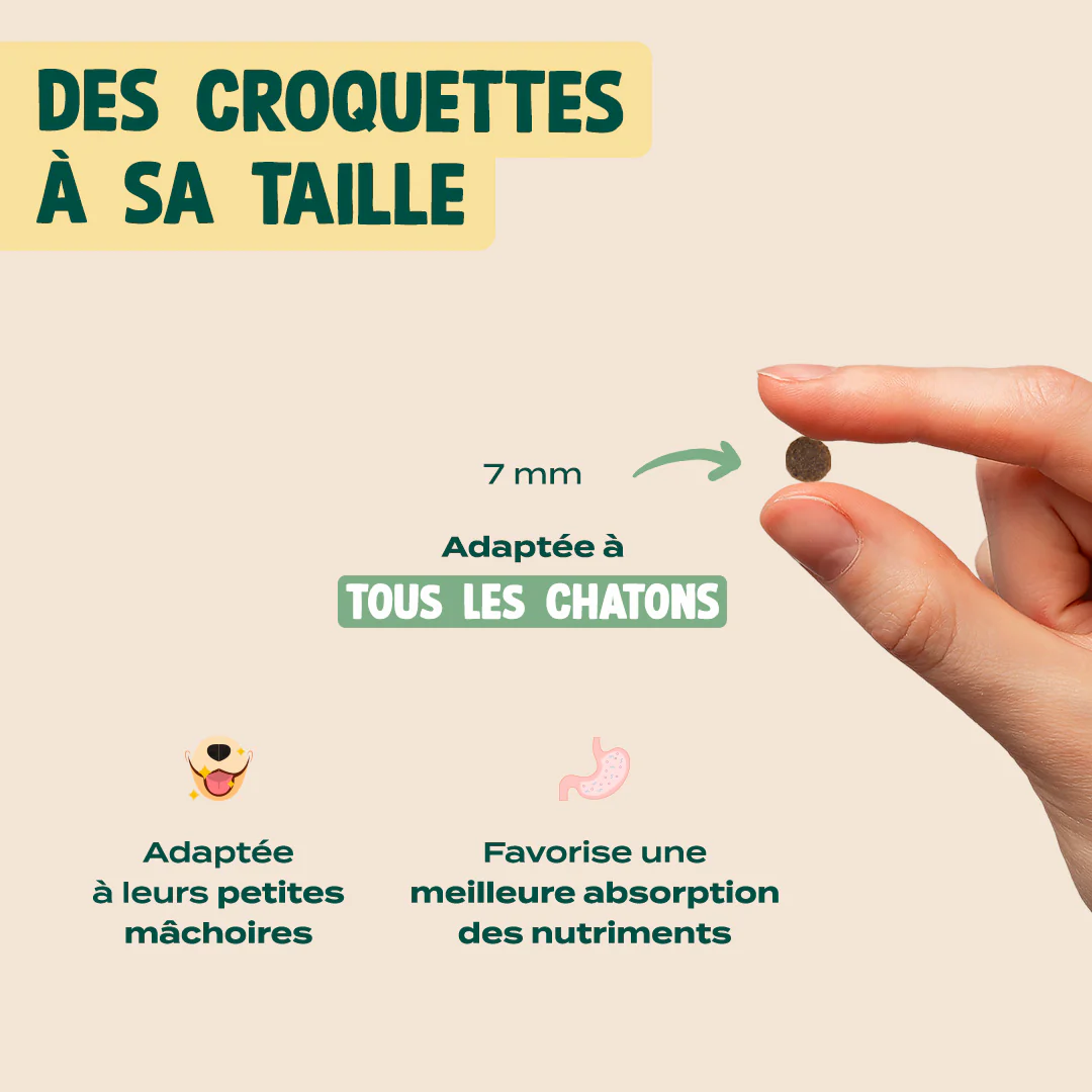 POULET, SAUMON, CAROTTE - Image 6