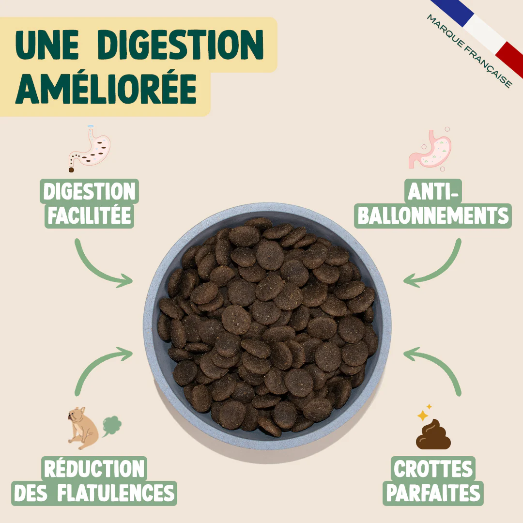 AGNEAU, PATATE DOUCE, MENTHE - Image 3