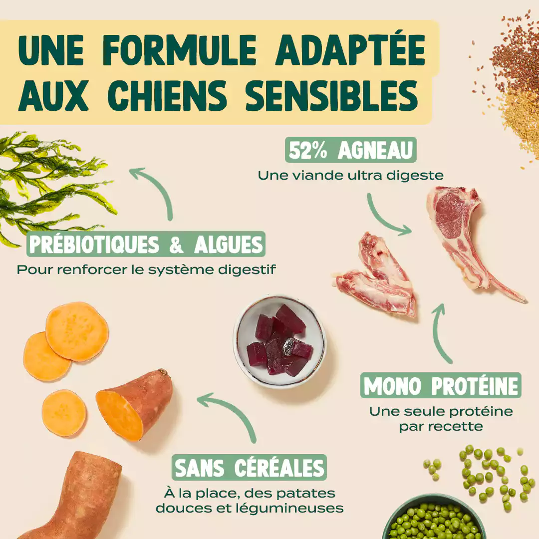 AGNEAU, PATATE DOUCE, MENTHE - Image 4