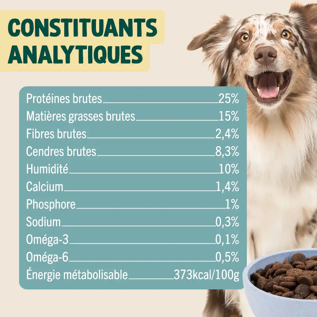 AGNEAU, PATATE DOUCE, MENTHE - Image 5
