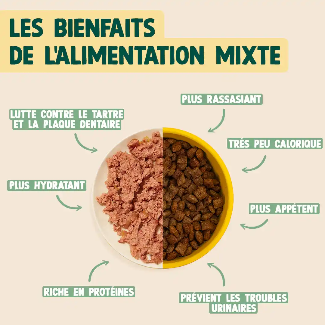 DINDE, CAMOMILLE - Image 6