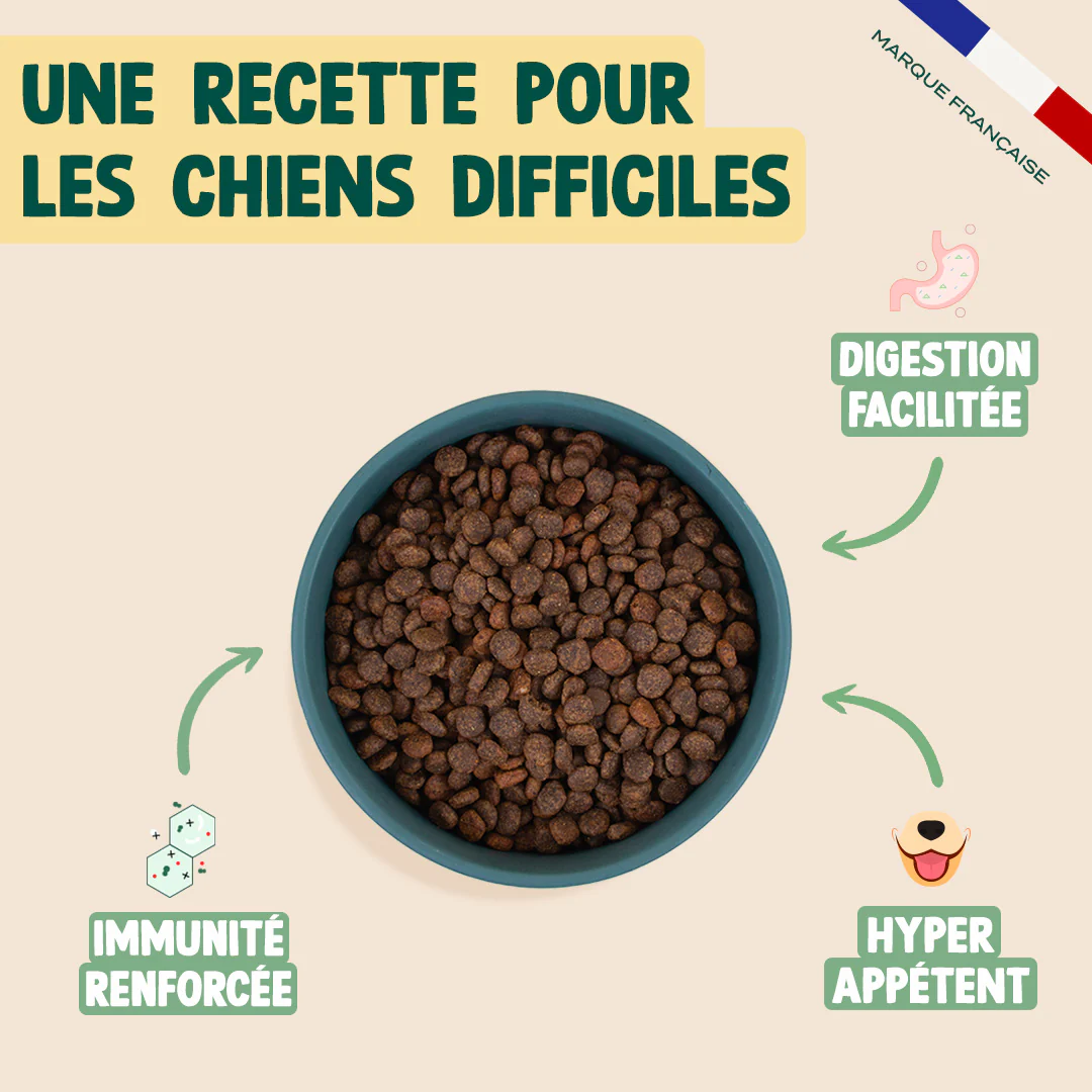 DINDE, CANARD, COURGE - Image 3