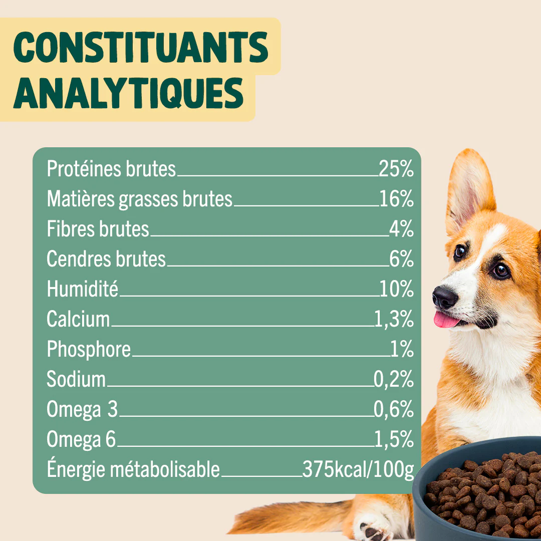 DINDE, CANARD, COURGE - Image 5