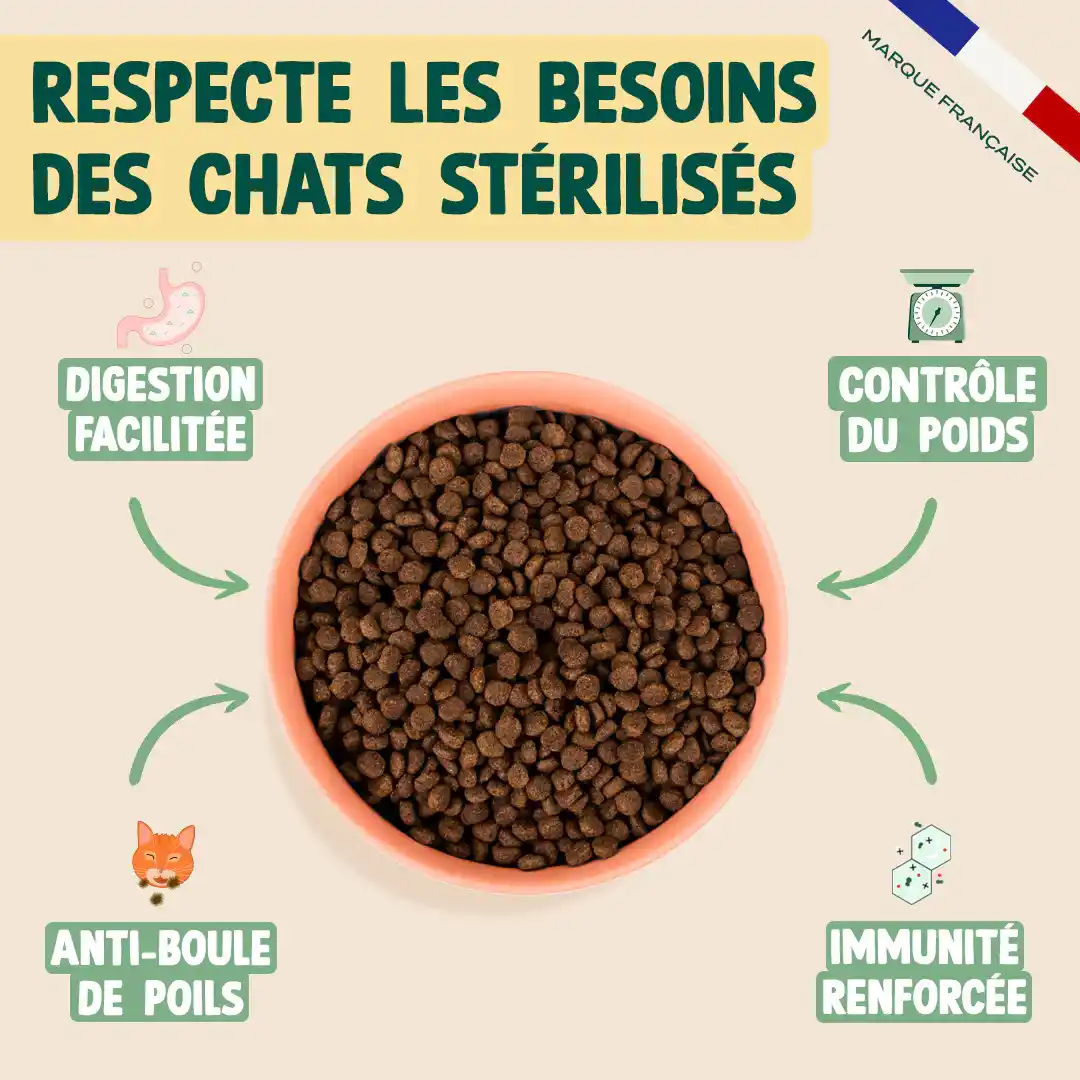 DINDE, CANARD, CANNEBERGE - Image 3