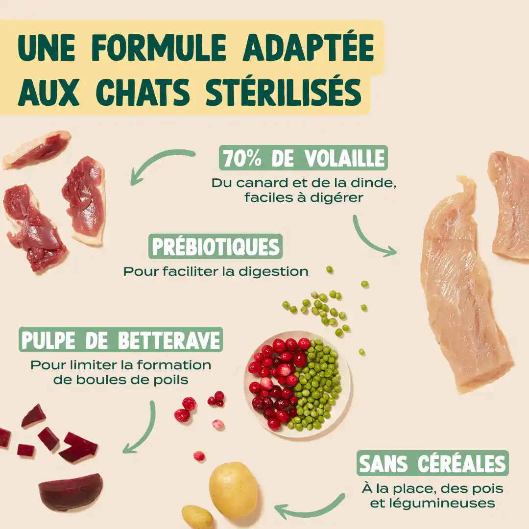 DINDE, CANARD, CANNEBERGE - Image 4