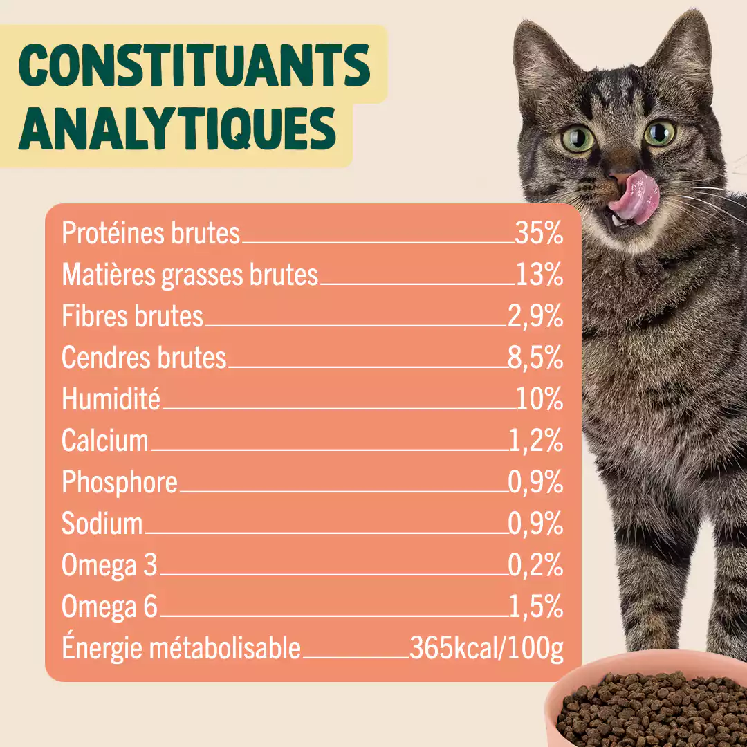 DINDE, CANARD, CANNEBERGE - Image 5