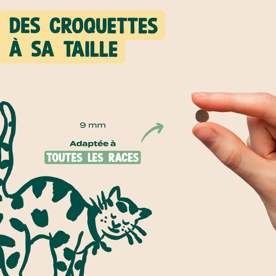 DINDE, CANARD, CANNEBERGE - Image 6