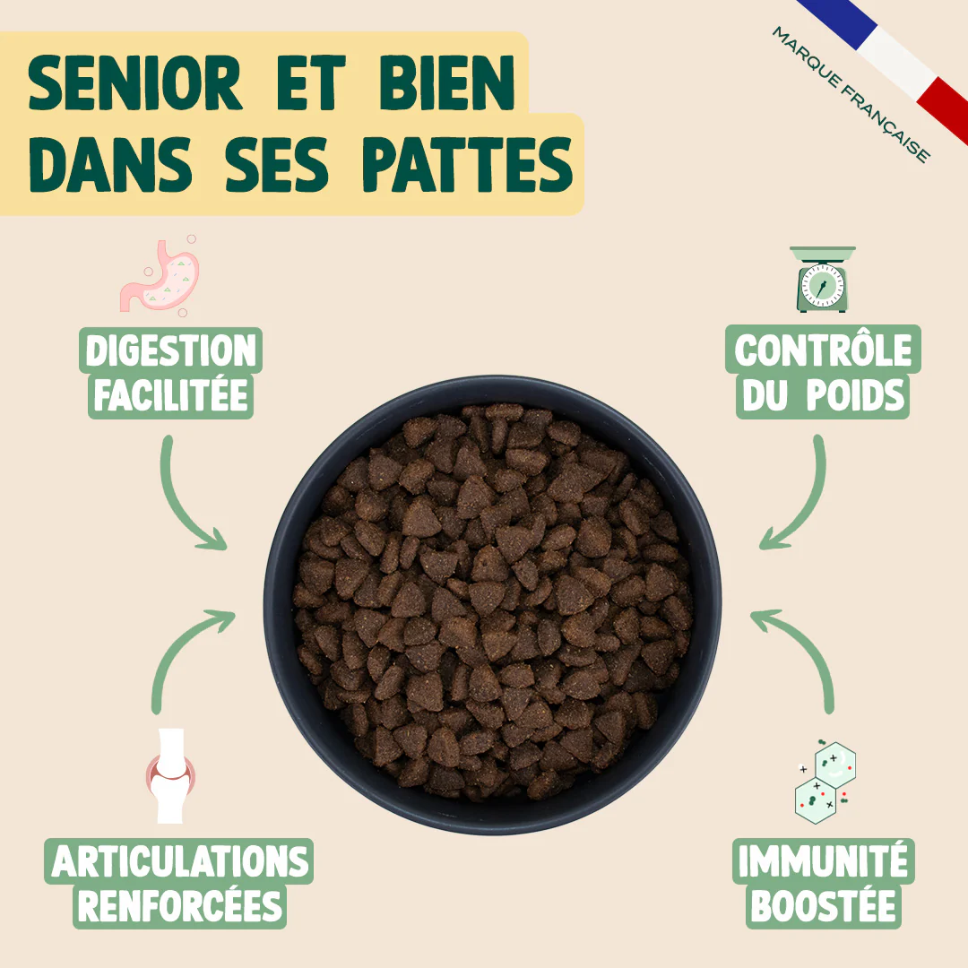 DINDE, COURGE, POIRE - Image 3