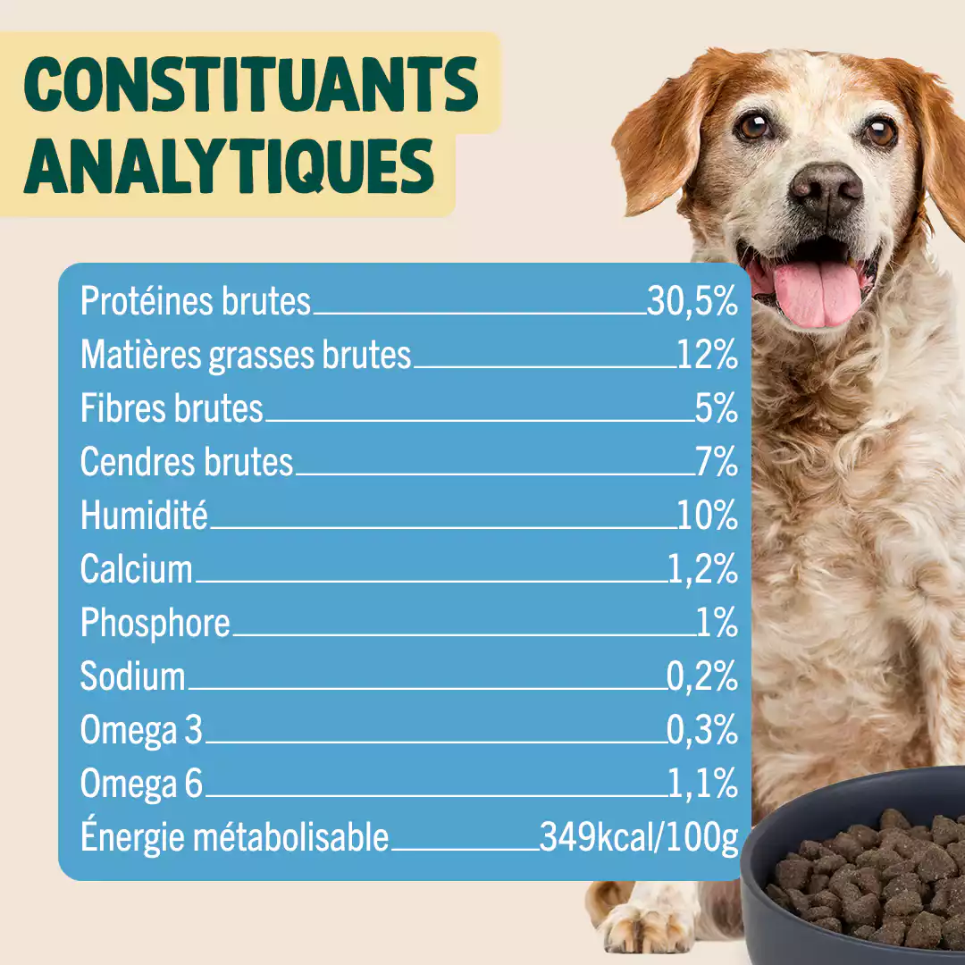 DINDE, COURGE, POIRE - Image 5
