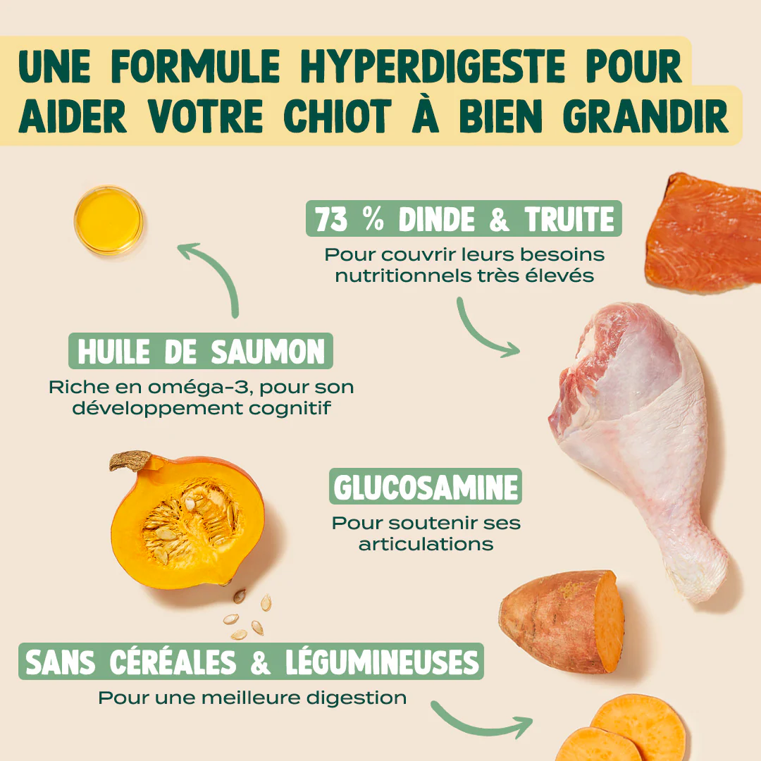 DINDE, TRUITE, PATATE DOUCE - Image 3