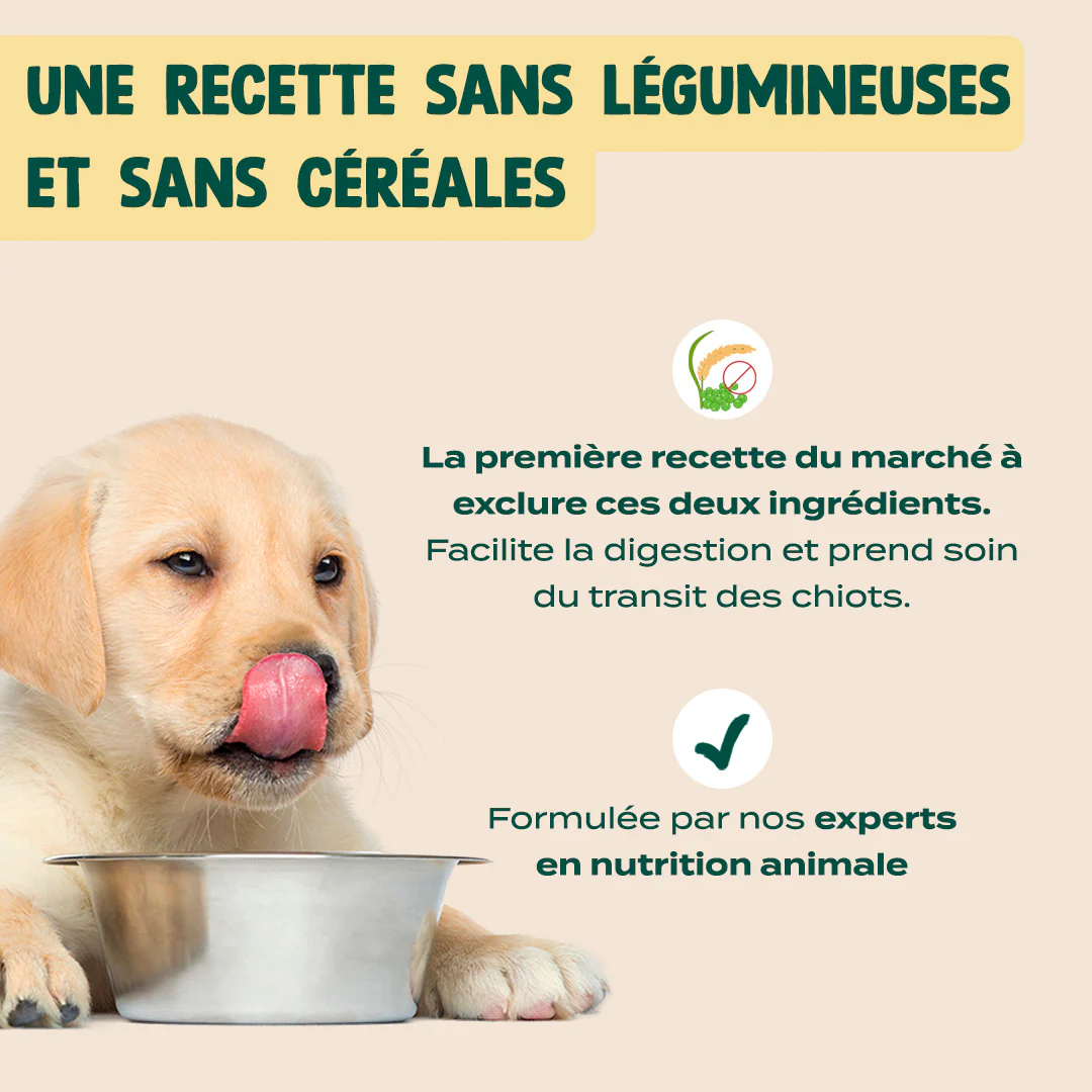 DINDE, TRUITE, PATATE DOUCE - Image 4