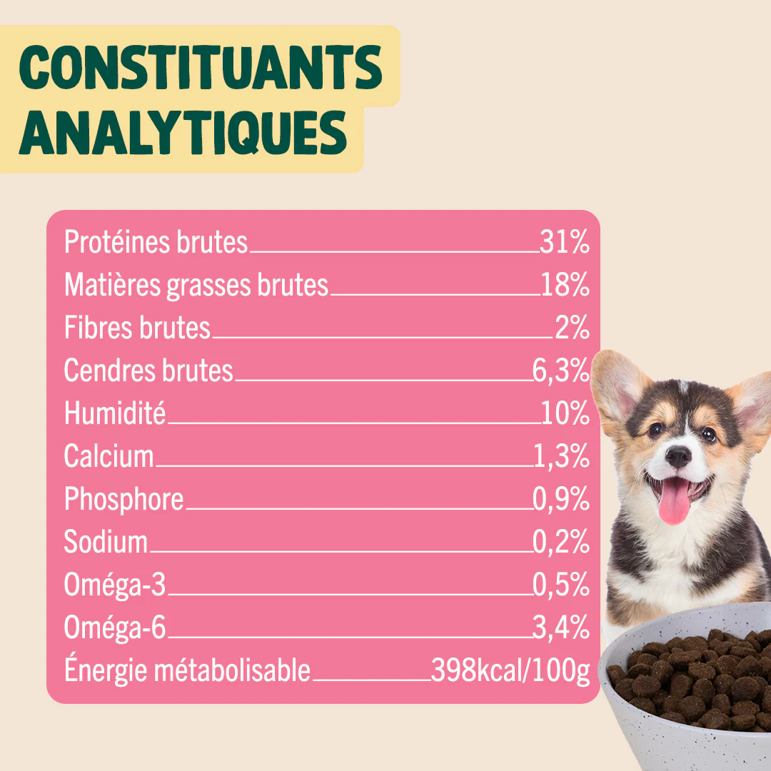 DINDE, TRUITE, PATATE DOUCE - Image 5