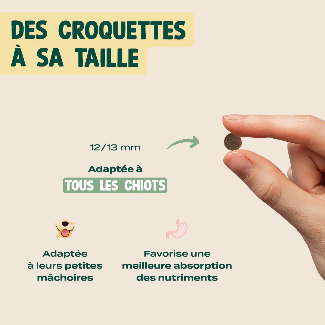 DINDE, TRUITE, PATATE DOUCE - Image 6