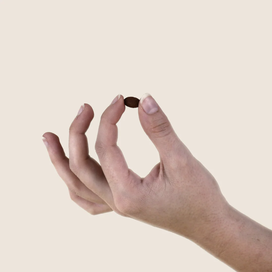 DOUCEURS FESTIVES - Image 4