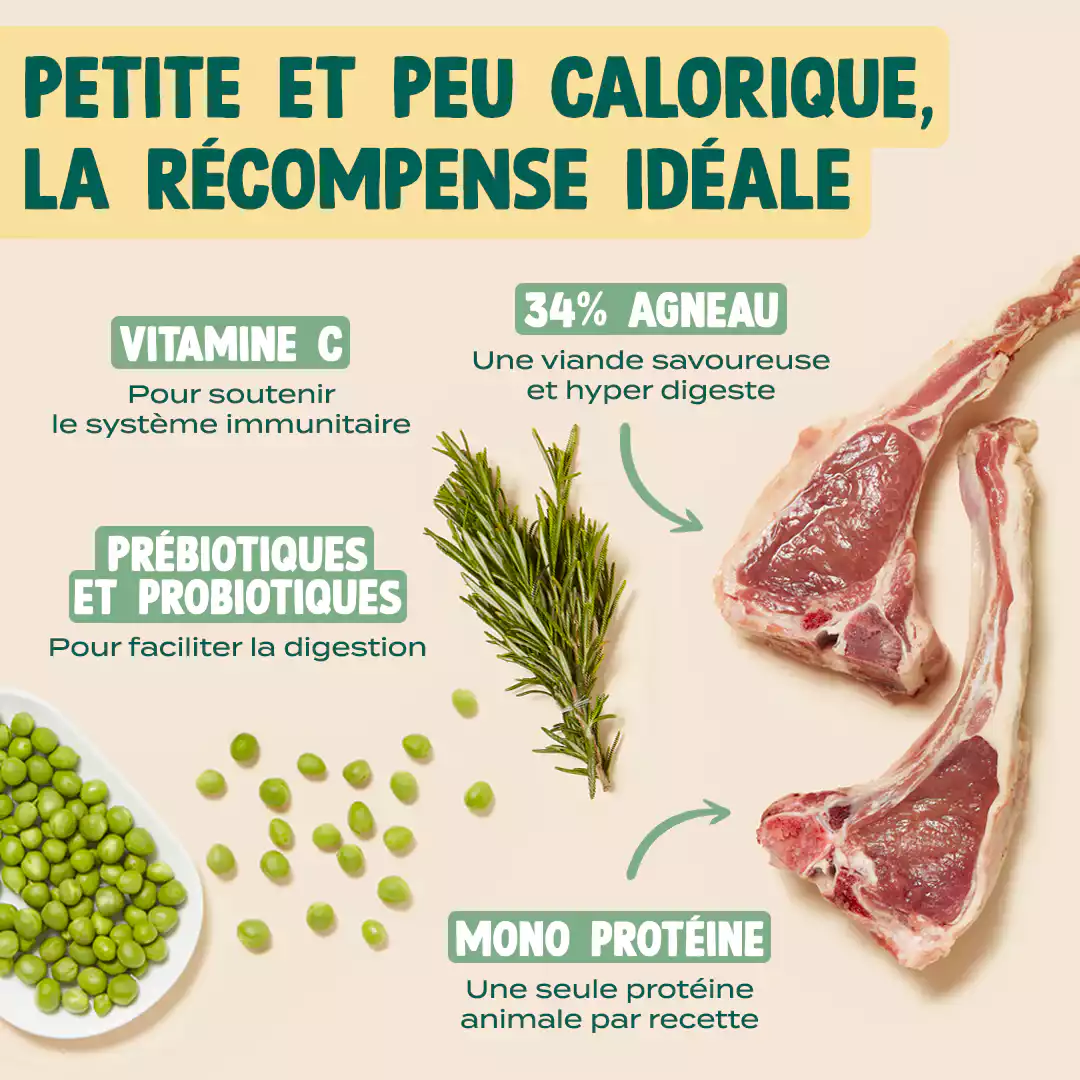 DRES-SAGE ! - Image 3