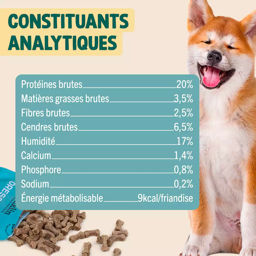 DRES-SAGE ! - Image 4