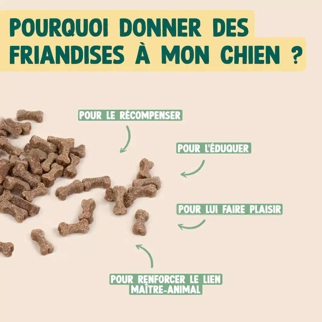 DRES-SAGE ! - Image 5