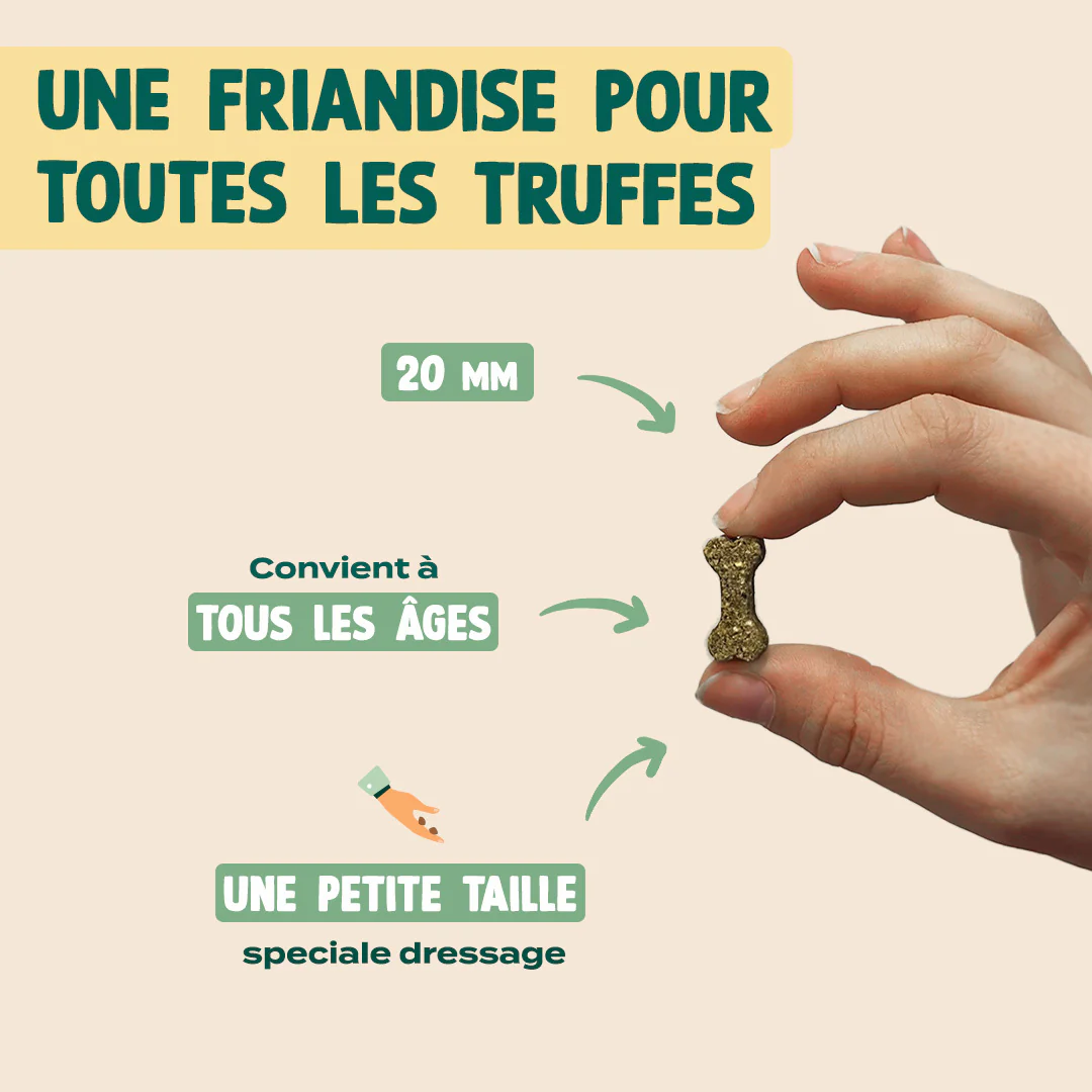 DRES-SAGE ! - Image 6