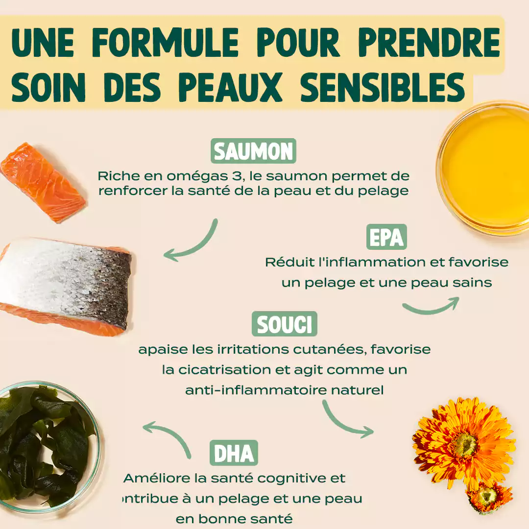 FRIANDISES PEAU & PELAGE - Image 3