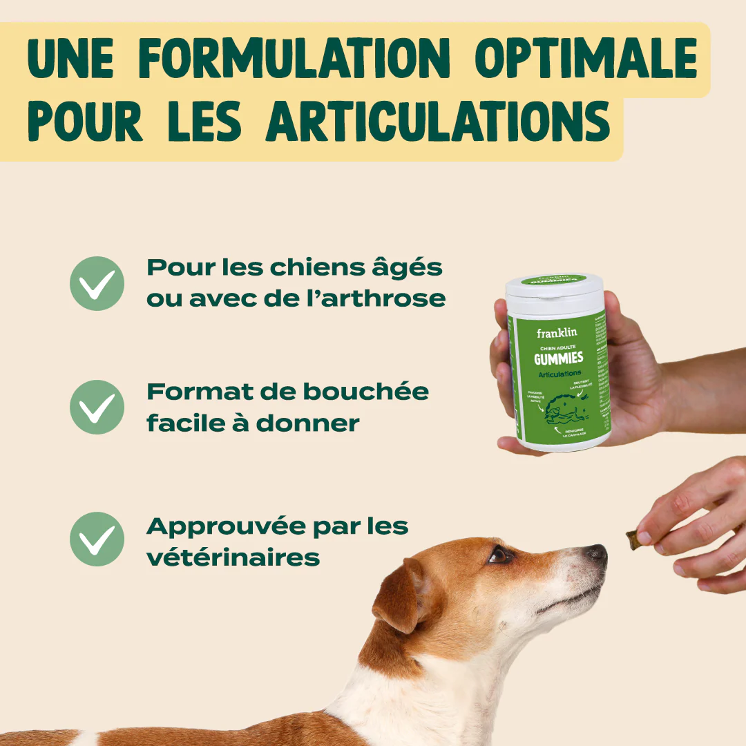 GUMMIES ARTICULATIONS - Image 4