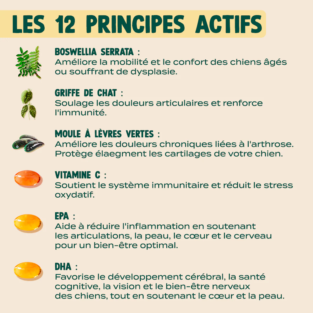 GUMMIES ARTICULATIONS - Image 7