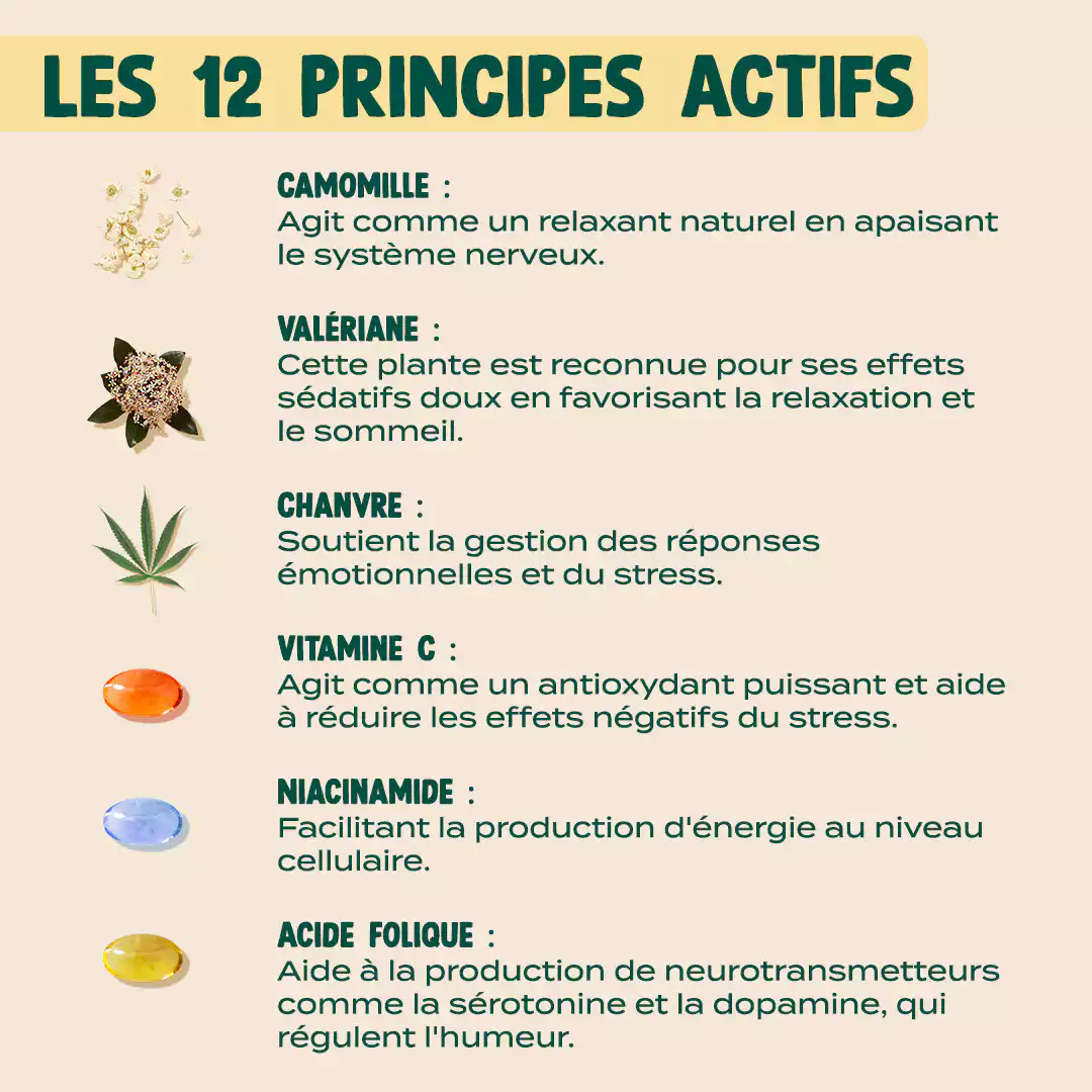 GUMMIES ANTI-STRESS - Image 5