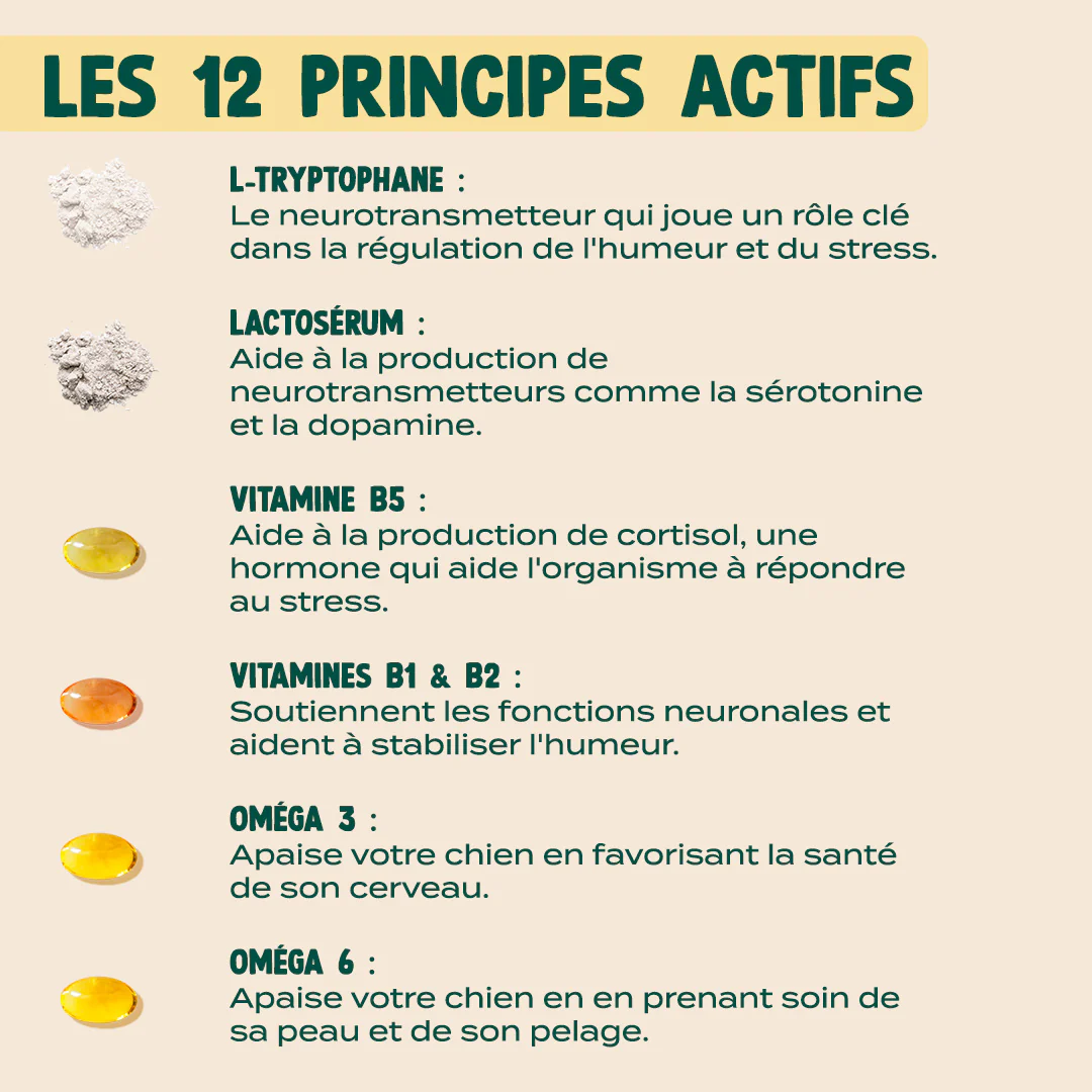 GUMMIES ANTI-STRESS - Image 6