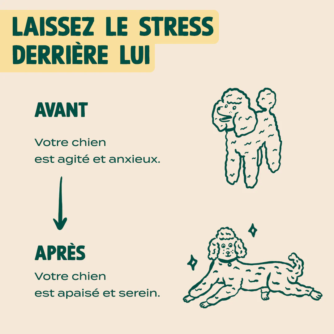 GUMMIES ANTI-STRESS - Image 7