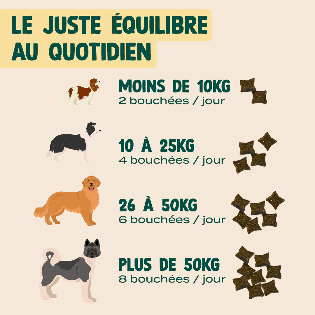 GUMMIES ANTI-STRESS - Image 8