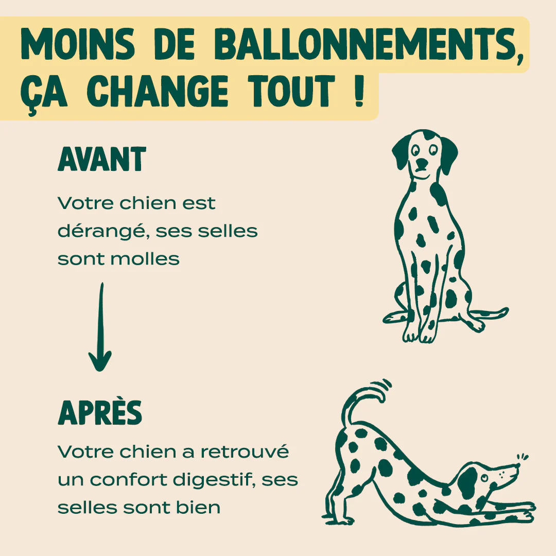 GUMMIES PROBIOTIQUES - Image 6