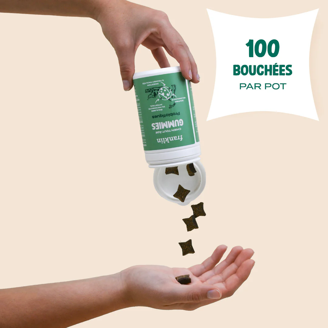 GUMMIES PROBIOTIQUES - Image 7